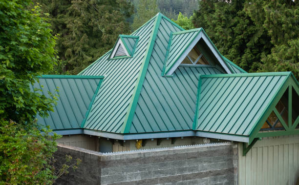 Best Roof Moss and Algae Removal  in Newport, NC
