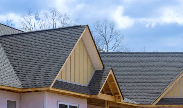 Best Steel Roofing  in Newport, NC